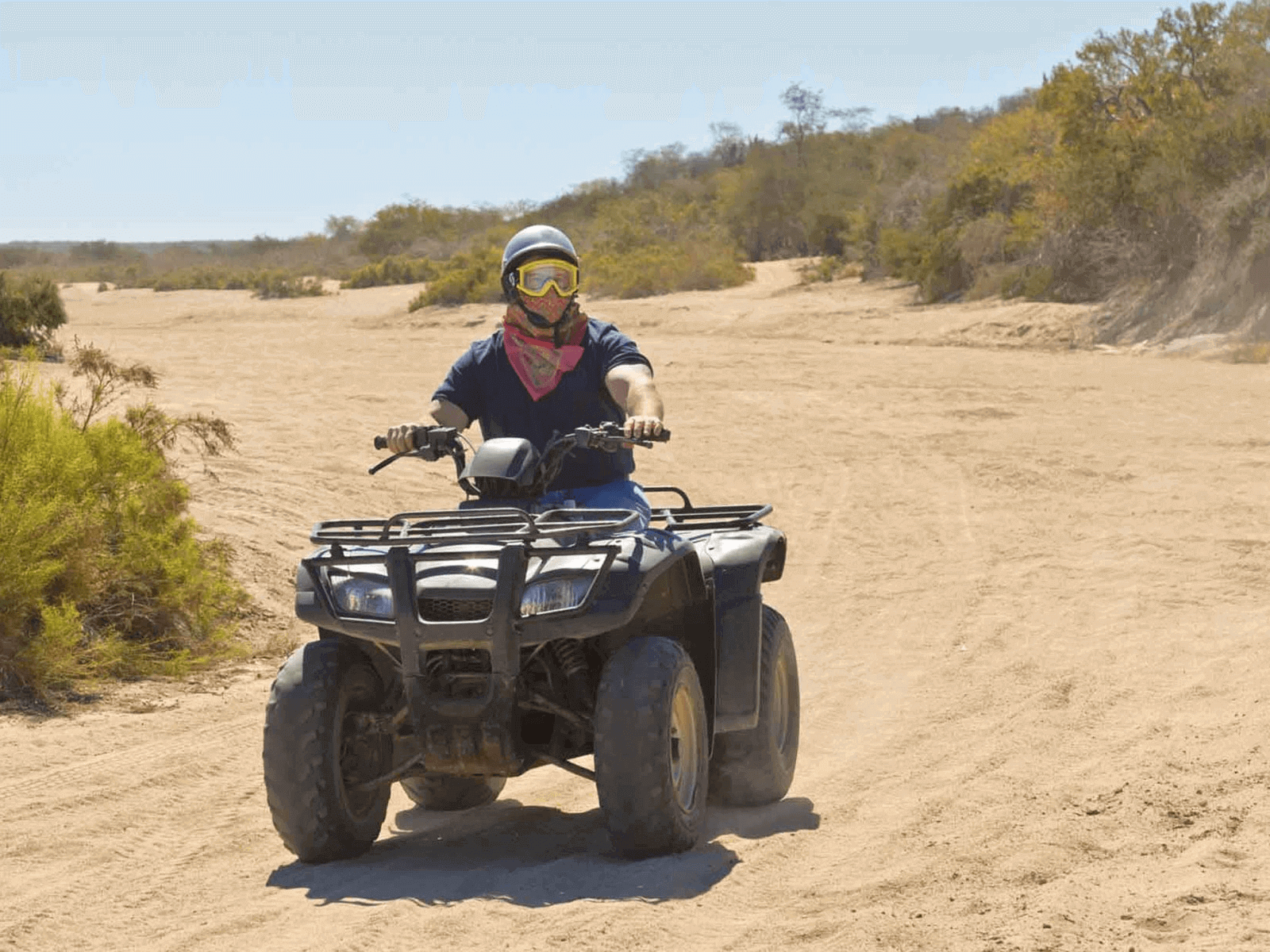 Quad Safari