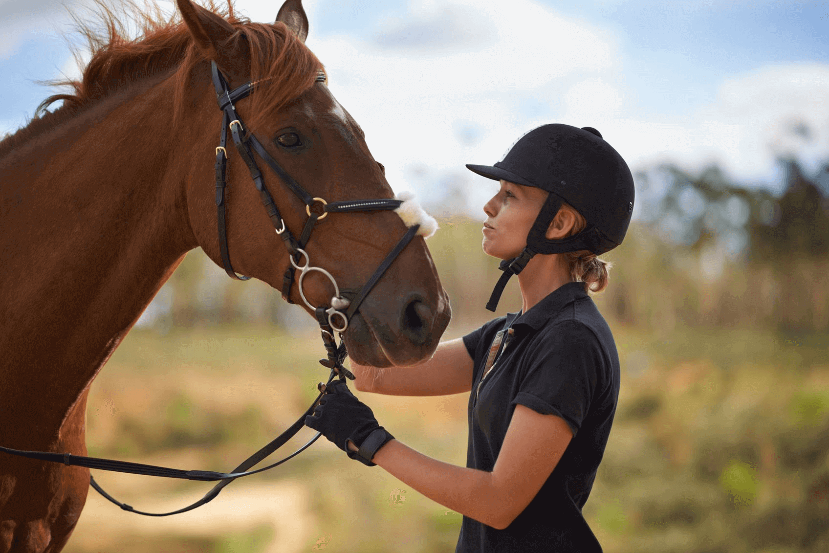 Horse Safari