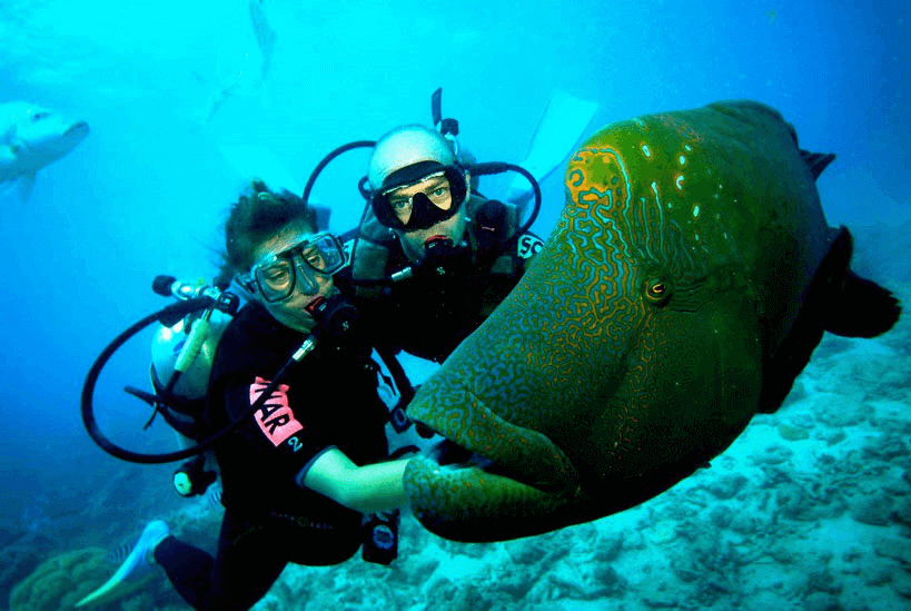 Diving Tour