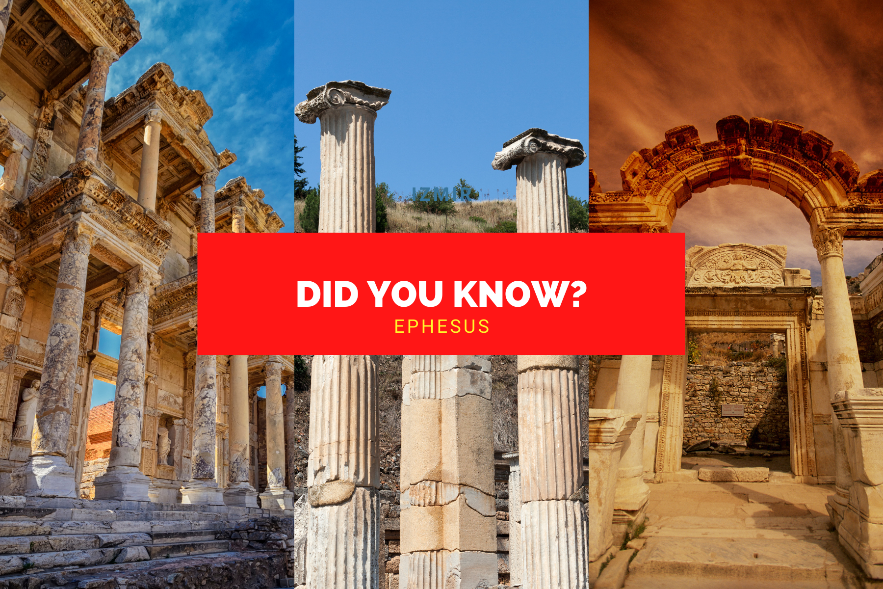 Did You Know?