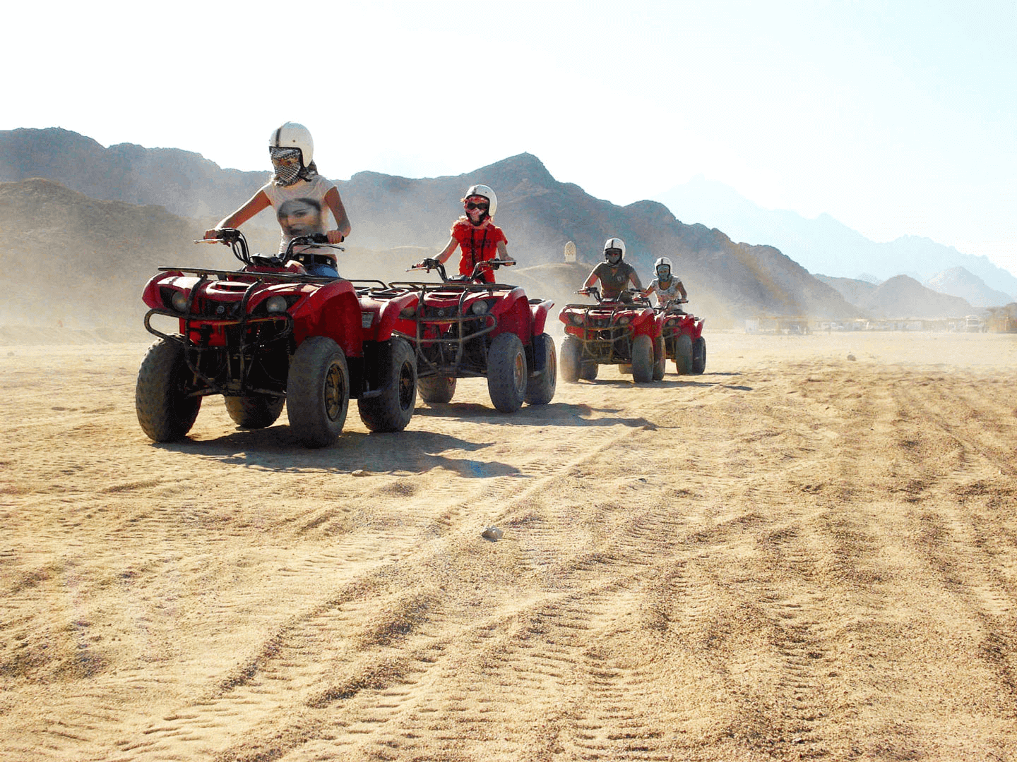 Quad Safari