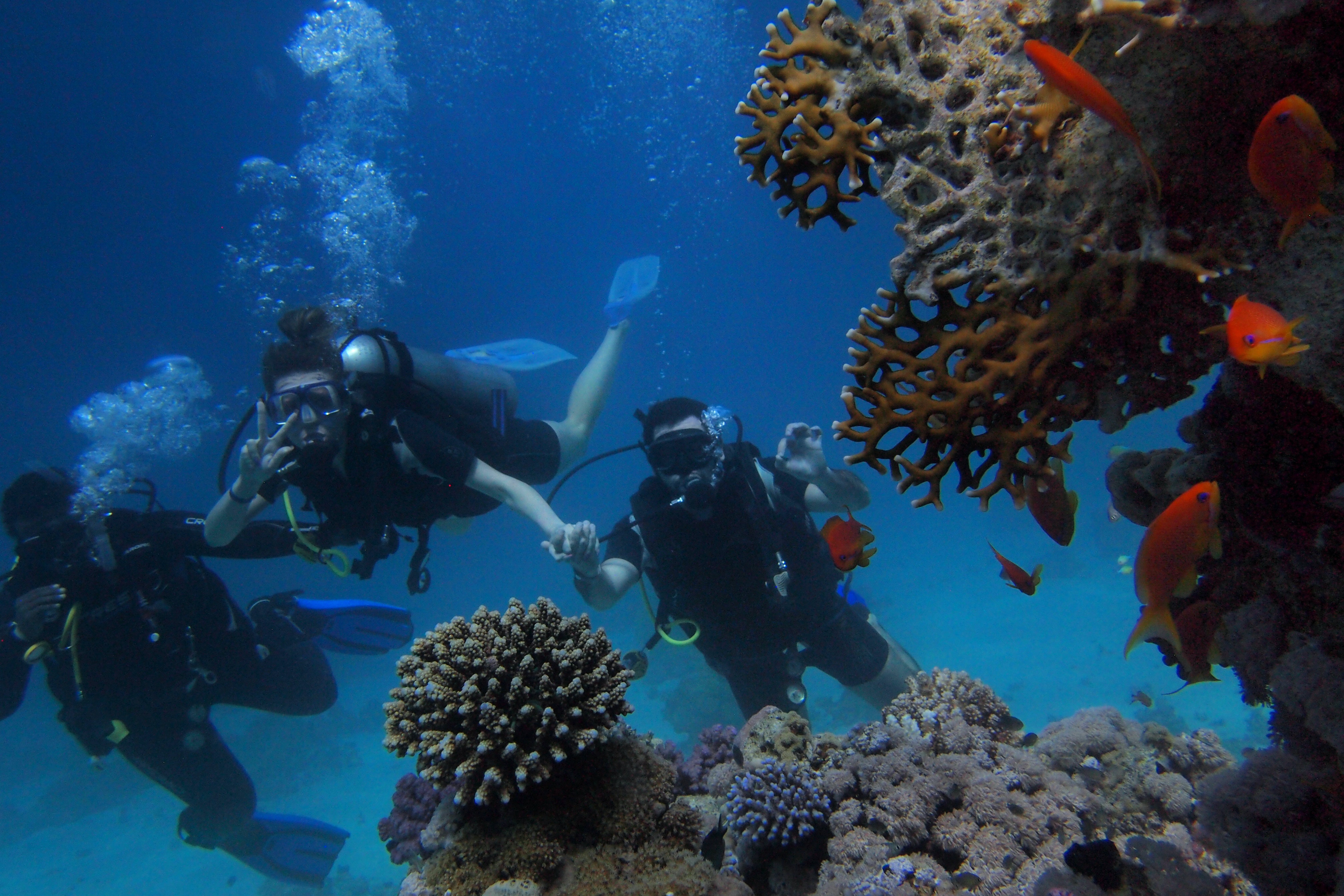Diving Tour